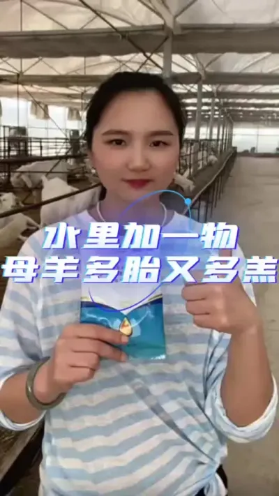 鱼肝油好处多多#养羊人 #养羊技术 #养羊技术分享