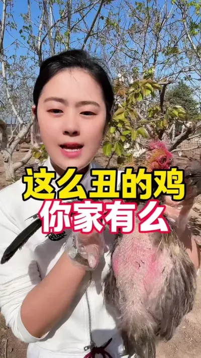 这么丑的鸡你家有么 #养鸡#养鸡妙招#科学养鸡#散养土鸡#鸡驱虫
