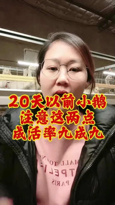 注意这两点，20天以前的小鹅成活率九成九不再难#养鹅 #养鹅人 #养鹅技术分享 #鹅 #三农