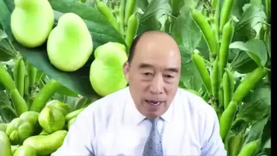蚕豆的超高产种植技术