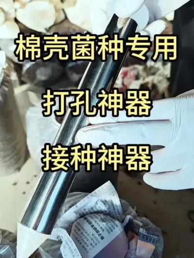 棉壳菌种专用打孔器，方便快捷，省时省力，来试试吧#平菇种植 #打孔器 #菌种打孔器