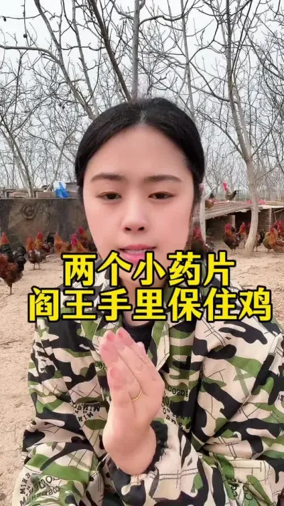 #服务三农支持三农 #科学养鸡 #鸡鸭鹅养殖 #鸡病防治