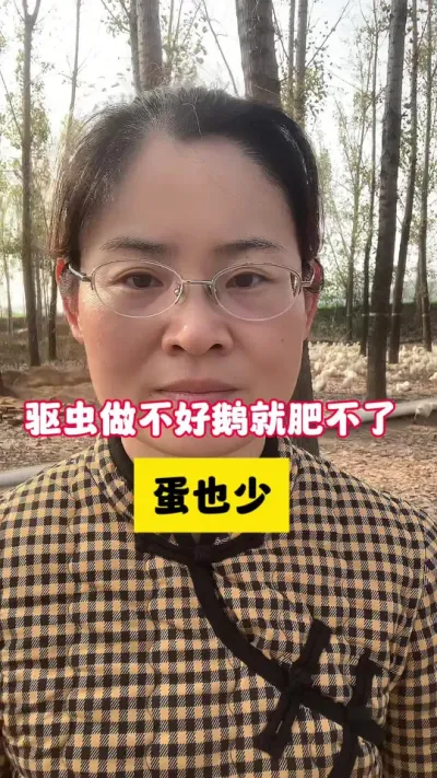 驱虫做不好鹅就肥不了，蛋也跟着少。#养鹅技术分享 #科学养鹅 #养鹅人 #三农 #养殖人加油