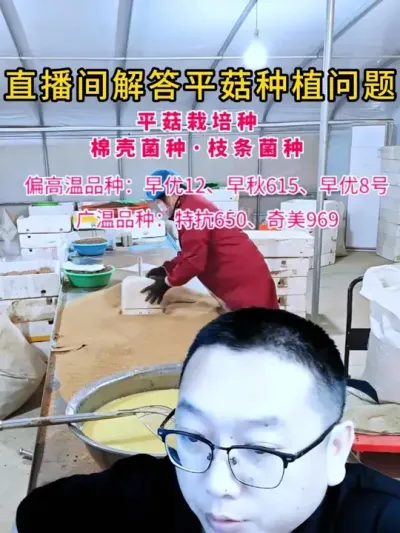 关注我，每晚直播间解答分享平菇种植遇到的问题#平菇种植 #食用菌 #菌种 #食用菌栽培种