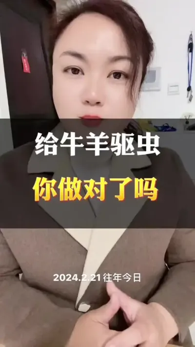 给牛羊驱虫，你做对了吗？#肉牛养殖 #全国养牛人 #科学喂养 #养殖户 #西门塔尔