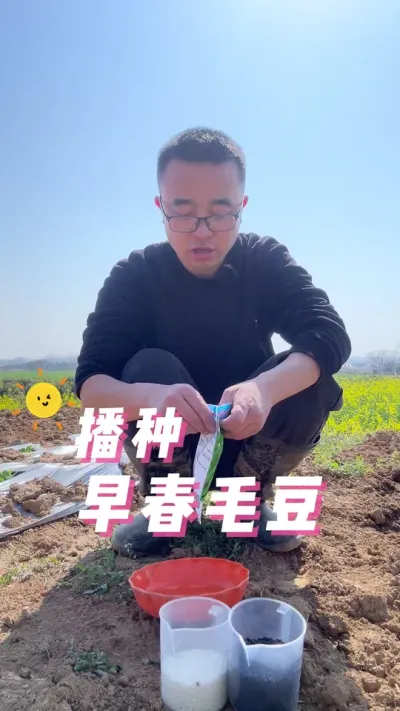 早春毛豆播种全过程，毛豆怎么播种出苗快？#种植小技巧 #关注我一起学种菜 #我爱种菜 #学种菜 #每天分享蔬菜种植技巧