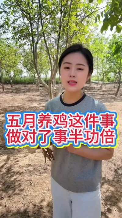 #鸡鸭鹅养殖 #科学养鸡 #养鸡人 #服务三农支持三农 #抖音养鸡人