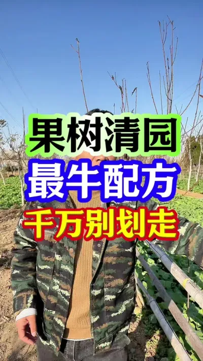 #清园剂 #果树清园 #清园 #分享农业知识帮农民增产增收 #抖音助农