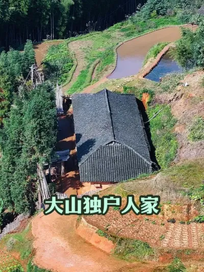 四川发现一老人独居大山，山清水秀竹林环绕，种地生活与世无争 #山清水秀好风光 #大山深处自然美