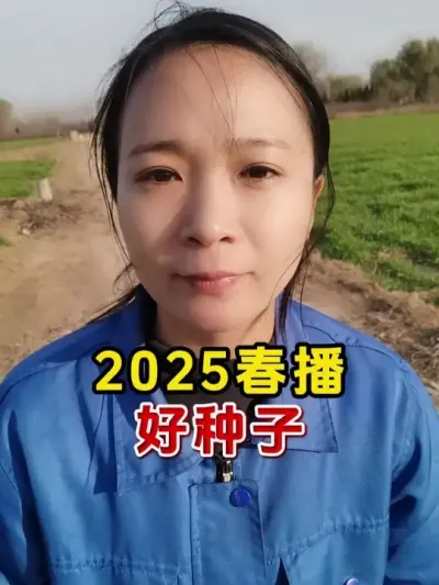 2025春播高产种子 #春播 #玉米 #高产玉米种子