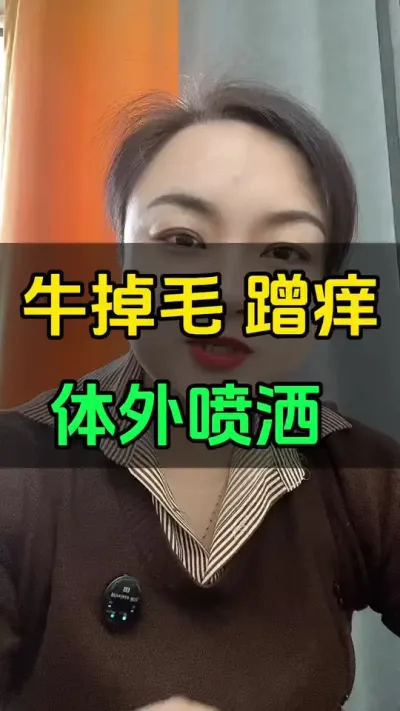 牛掉毛蹭痒，舔毛都是体外寄生虫引起的#西门塔尔育肥牛 #养殖户 #牛羊养殖 #繁殖母牛