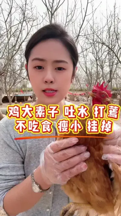 鸡大素子 吐水 打蔫 不吃 瘦小 挂掉，统统搞定 #养鸡#鸡病防治#科学养鸡#养鸡妙招#散养推理