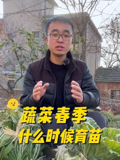 蔬菜春季什么时候开始育苗？蔬菜育苗时间？#关注我一起学种菜 #我的小菜园 #种植小技巧 #我爱种菜 #在家种菜