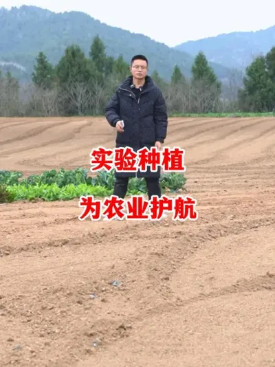 亲自进行了全流程实验种植五年为大家提供完整的技术#辣椒种植 #辣椒 #小米辣 #线椒 #来抖音学农技