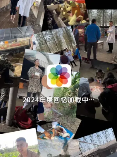 2024完美落幕，2025马上开始！新的一年服务三农，助力养鹅人！我是王晓雨！我一直在路上！从未停歇！有任何问关于养鹅问题，您问我答！#倒计时 #养鹅技术找晓雨
