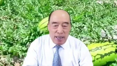 西瓜，甜瓜的育苗技术#心系三农服务三农 #西瓜种植技术 #甜瓜种植技术 #高产西瓜种子 #大棚西瓜种植技术
