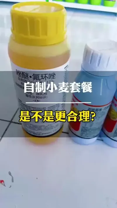 自制小麦套餐，是不是更合理？ #小麦 #农民种地不容易 #田间地头走一走