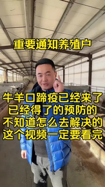 养殖户们重要通知牛羊口蹄疫已经来了 这个视频一定要看完   #猪牛羊口蹄疫   #牛羊养殖   #每天分享养殖小知识