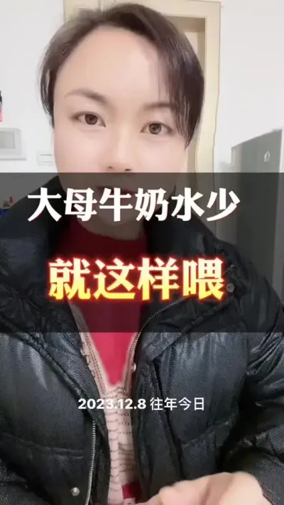 大母牛奶水少，你就这样喂#科学喂养 #肉牛养殖 #全国养牛人 #西门塔尔
