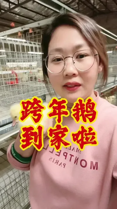 跨年鹅已经安全到家，祝养鹅朋友们都能赚到钱#养鹅 #养鹅技术分享 #科学养鹅 #养鹅人 #鹅