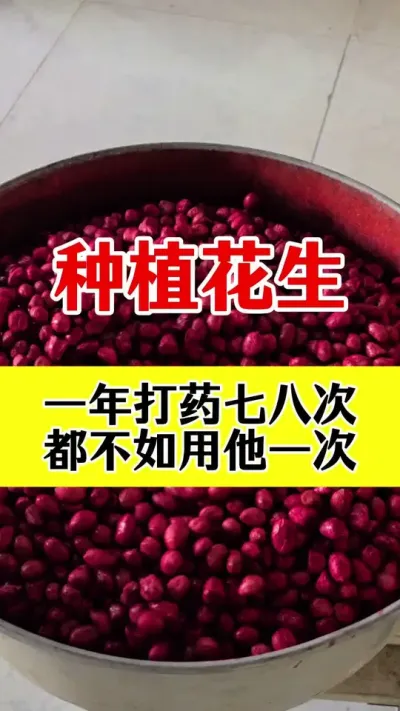 花生专用拌种剂#拌种剂#花生拌种剂 #花生拌种 #花生拌种剂防病防虫