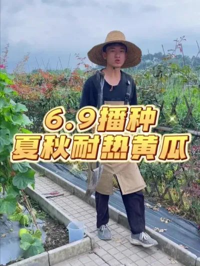 今天来播种一款夏秋耐热黄瓜，35度左右黄瓜表现好 #种植小技巧 #关注我一起学种菜 #自己种的纯天然的绿色蔬菜 #家庭种植 #种菜