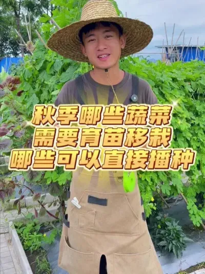 秋季哪些蔬菜需要育苗移栽？哪些可以直接播种？ #种植小技巧 #关注我一起学种菜 #家庭种植#我的小菜园  #学种菜