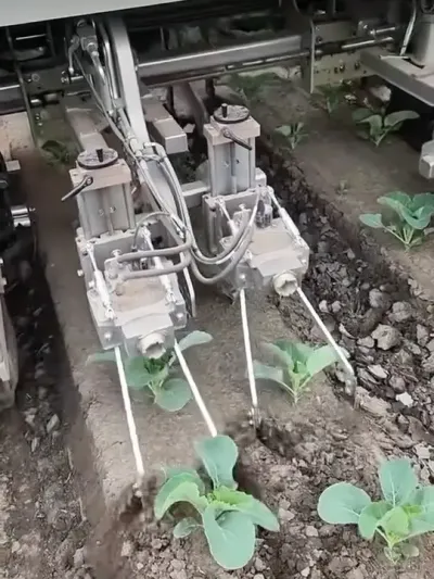 第878集｜现代机械式除草技术 #现代农业机械 #除草机 #服务三农支持三农