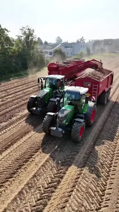 第1038集｜现代农业机械收获土豆🥔 #农机视频 #现代农业机械 #芬特拖拉机 #格里莫马铃薯收获机