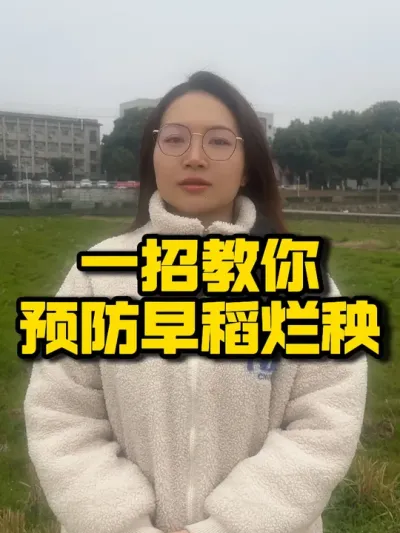 一招教你预防早稻烂秧 #种之道 #早稻烂秧 #水稻种植 #农业技术推广 #三农