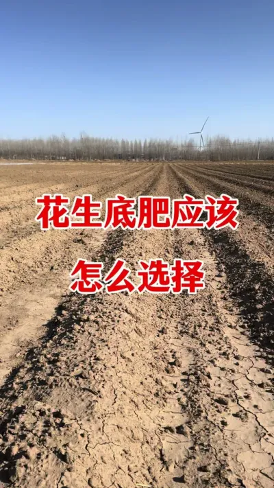 花生底肥怎么选#花生种植#花生施肥 #花生颗粒硼肥 #颗粒硼#花生种植管理