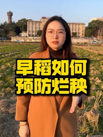 早稻如何预防烂秧#农业技术推广 #水稻种植 #三农 #抖音助农 #高产