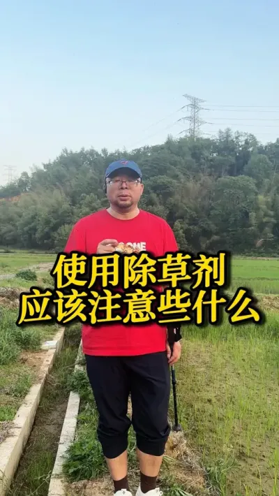 使用除草剂应该注意些什么 #种之道 #水稻种植技术 #高产 #新农人计划 #苗后除草