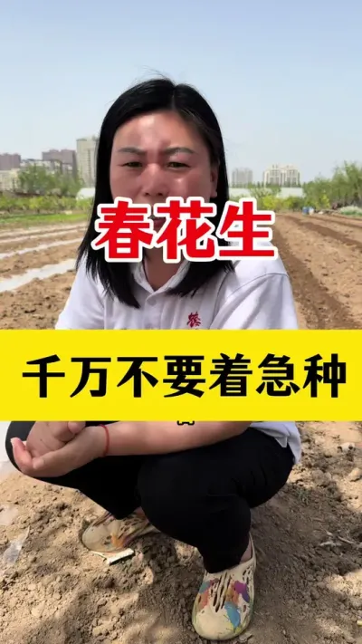 花生种植注意事项#花生种植 #花生底肥 #花生颗粒硼肥 #花生高产种植 #花生