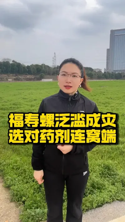 福寿螺泛滥成灾？选对药剂连窝端 #种之道 #三农 #福寿螺 #农业技术推广 #高产
