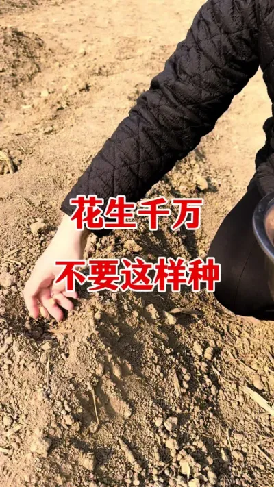 花生专用拌种剂#花生种植 #拌种剂 #种子专用拌种剂 #花生拌种剂 #花生高产种植