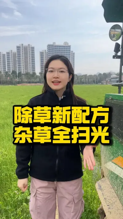 除草新&ldquo;配方&rdquo;，杂草全扫光 #种之道 #水稻种植 #农业技术推广 #春耕进行时 #除草剂