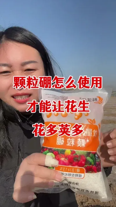 颗粒硼肥怎样使用效果最佳#硼肥的功效与作用 #花生种植 #花生底肥 #花生施肥 #花生颗粒硼肥