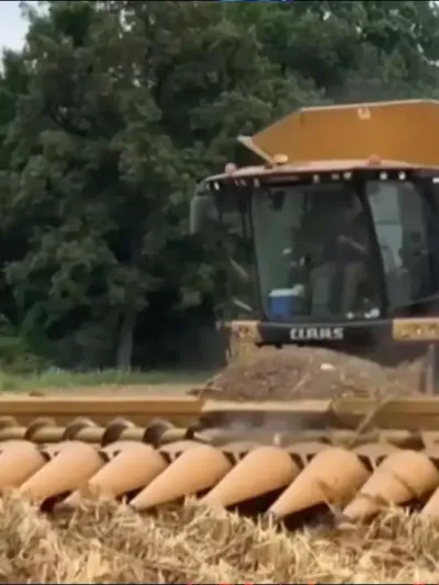 第988集｜克拉斯Lexion760搭载16行玉米割台！！！ #现代农业机械 #克拉斯收割机 #农机视频