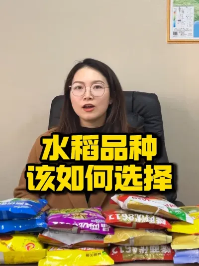 来年如何选择一个适合自己并且高产的品种#高产 #水稻种植 #三农服务 #种植技术推广 #水稻