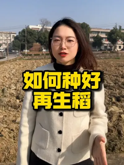 【种之道第7期培训会倒计时2天】 再生稻一直没产量，来种之道培训会帮您答疑解惑#再生稻 #农业技术推广 #水稻种植 #高产