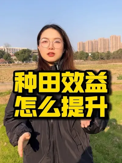 种田效益怎么提升#水稻种植 #农业技术推广 #三农 #抖音助农 #种植效益