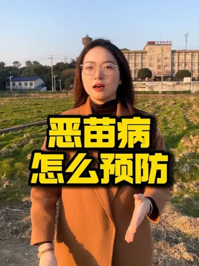 恶苗病如何预防#水稻种植 #三农 #抖音助农 #病虫草害 #高产
