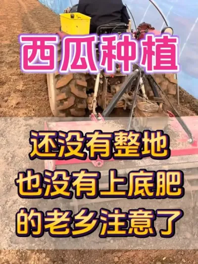 西瓜种植还没有整地的老乡注意了 #西瓜种植 #整地 #生根 #大棚西瓜 #西瓜管理