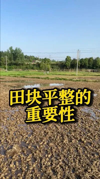 田块平整的重要性 #种之道#水稻种植技术#高产#新农人计划#田间水肥管理