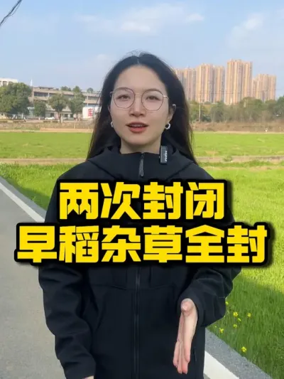 早稻除草秘籍：两次封闭，杂草全清！ #种之道 #水稻种植 #农业技术推广 #增产增收才是硬道理 #高产
