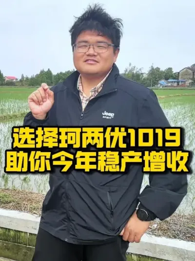 选择珂两优1019，助你今年稳产增收 #种之道 #水稻种植技术 #高产 #水稻品种 #珂两优1019