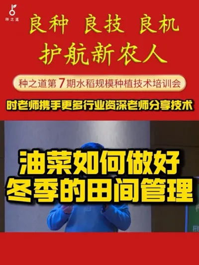 【种之道第7期培训会倒计时11天】 油菜冬季的田间管理的关键技术，你知道吗#油菜#种植技术推广#三农 #高产 #种田大户