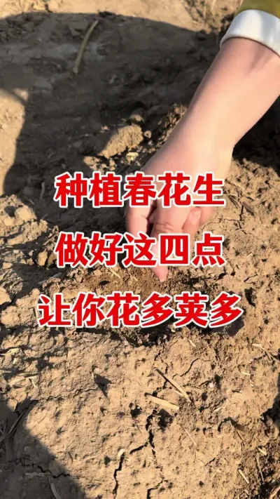 花生拌种注意事项#花生种植 #花生拌种剂 #花生拌种 #拌种剂 #种子专用拌种剂