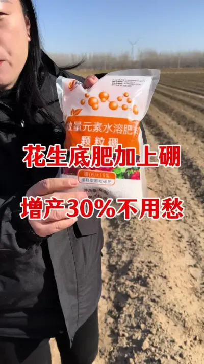 花生底肥加上硼有什么好处#花生种植 #硼肥的功效与作用 #花生高产 #花生高产种植 #花生颗粒硼肥